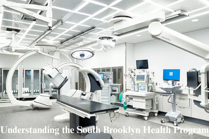 understanding the south brooklyn health program