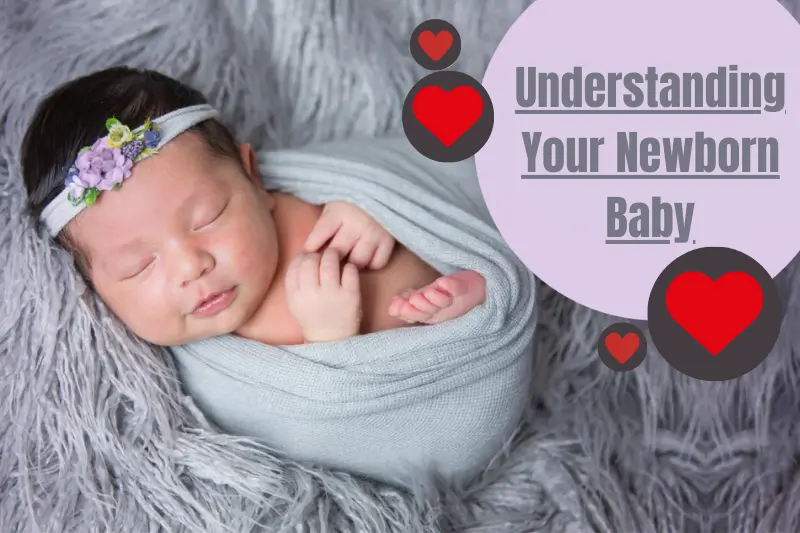 understanding your newborn baby