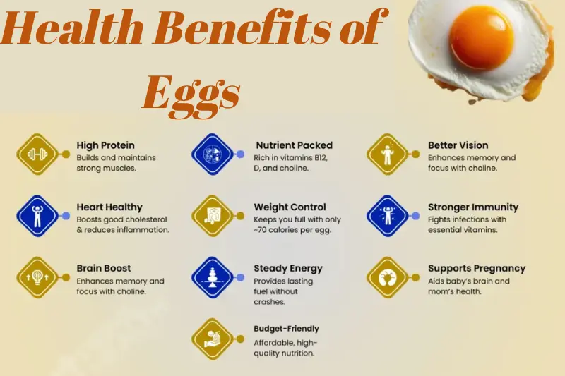 health benefits of eggs
