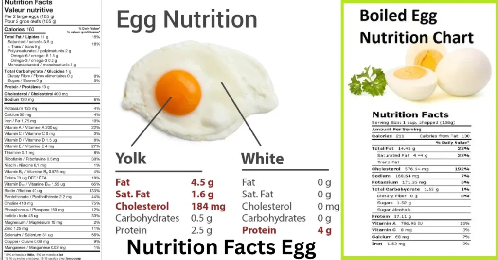 nutrition facts egg