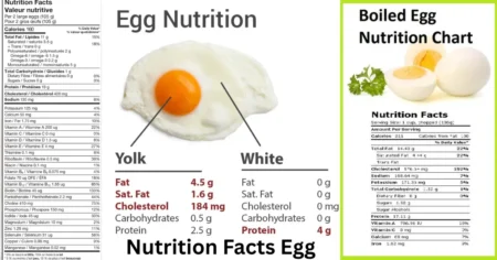 nutrition facts egg
