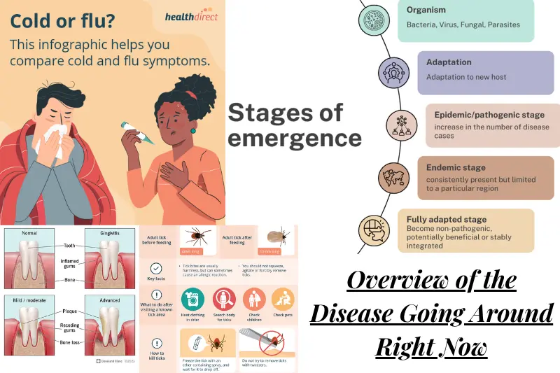 overview of the disease going around right now