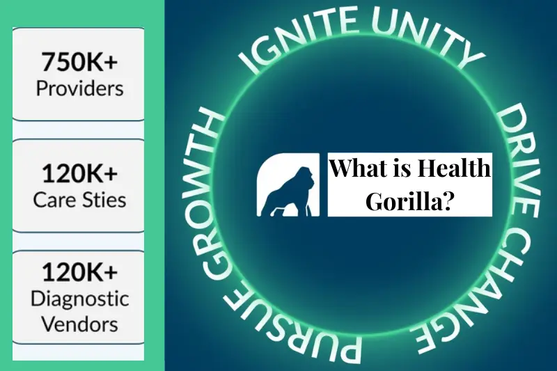 what is health gorilla