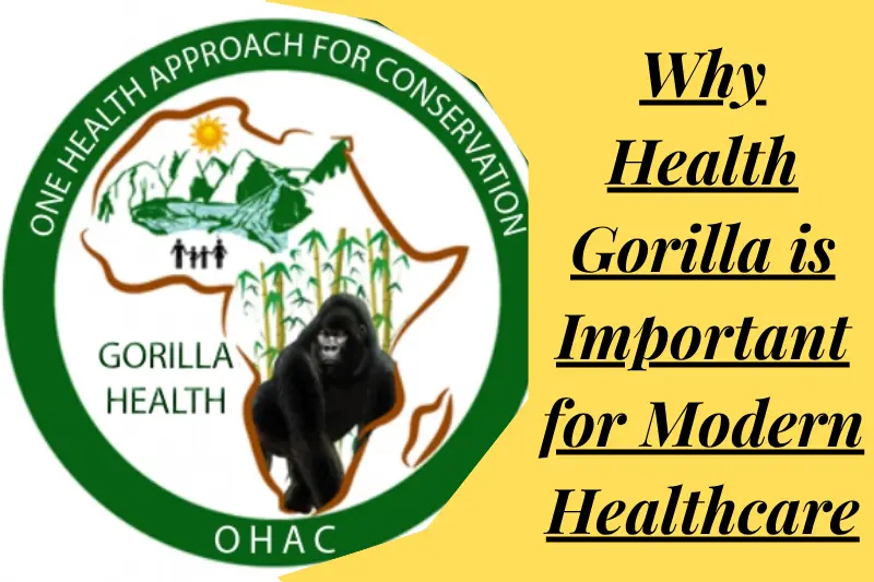 why health gorilla is important for modern healthcare