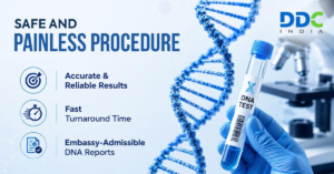 The Chain of Custody Procedure in DNA Tests