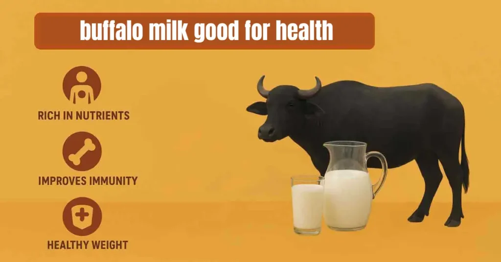 buffalo milk good for health