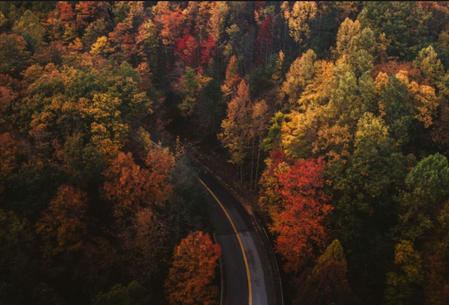 Why Seasonal Rituals Matter More Than We Think